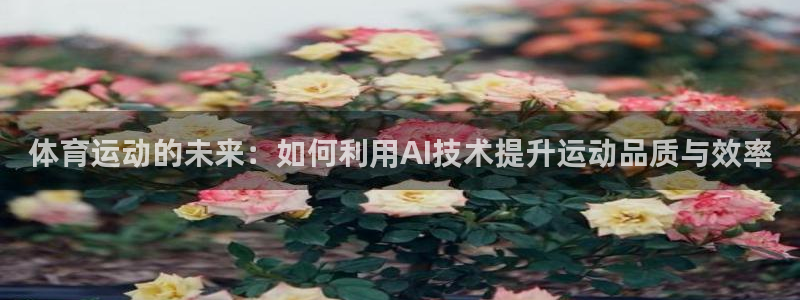 速8体育网：体育运动的未来：如何利用AI技术提升运动品质与效率