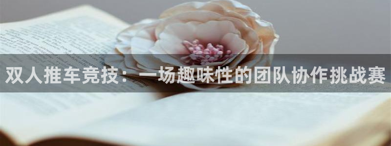 速8体育网：双人推车竞技：一场趣味性的团队协作挑战赛