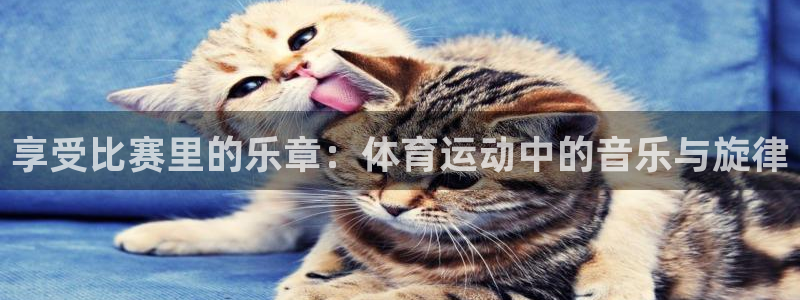 速8体育网：享受比赛里的乐章：体育运动中的音乐与旋律