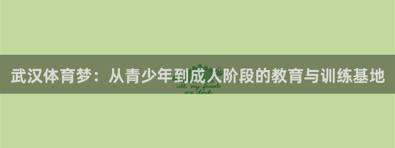 速8体育网：武汉体育梦：从青少年到成人阶段的教育与训练基地