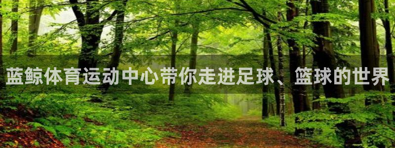 速8体育网：蓝鲸体育运动中心带你走进足球、篮球的世界