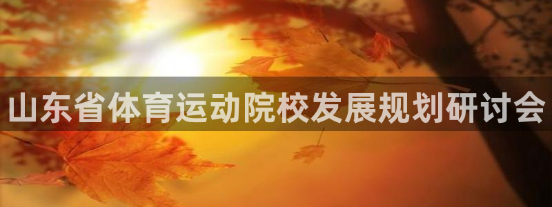 速8体育网：山东省体育运动院校发展规划研讨会